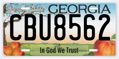 GA license plate CBU8562