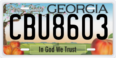 GA license plate CBU8603