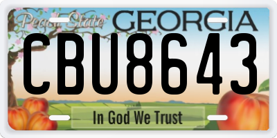GA license plate CBU8643