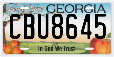 GA license plate CBU8645