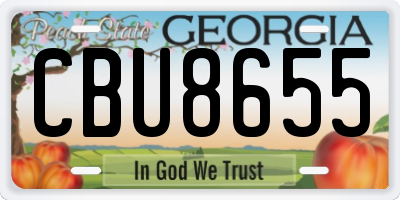 GA license plate CBU8655