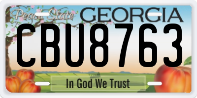 GA license plate CBU8763