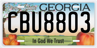 GA license plate CBU8803