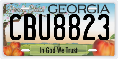 GA license plate CBU8823