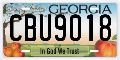 GA license plate CBU9018