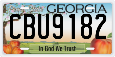 GA license plate CBU9182