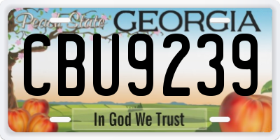 GA license plate CBU9239