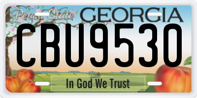GA license plate CBU9530
