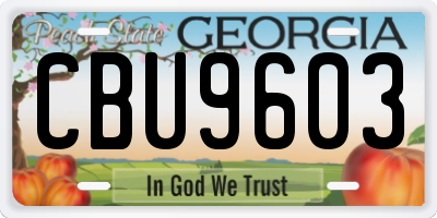 GA license plate CBU9603