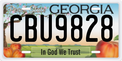 GA license plate CBU9828