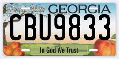 GA license plate CBU9833