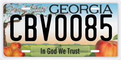 GA license plate CBV0085