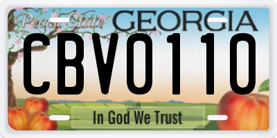 GA license plate CBV0110