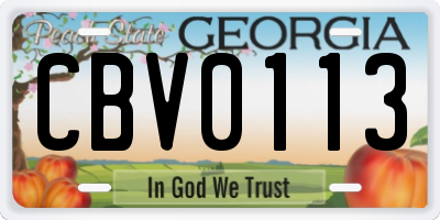 GA license plate CBV0113