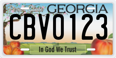 GA license plate CBV0123