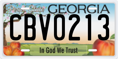 GA license plate CBV0213