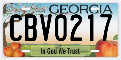GA license plate CBV0217