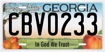 GA license plate CBV0233