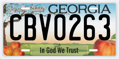 GA license plate CBV0263