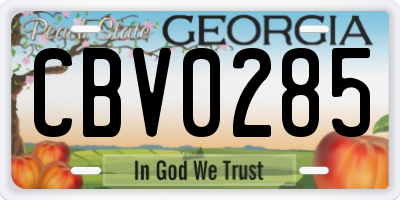 GA license plate CBV0285