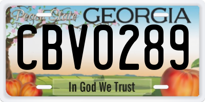 GA license plate CBV0289
