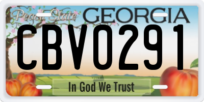 GA license plate CBV0291