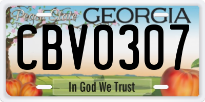 GA license plate CBV0307