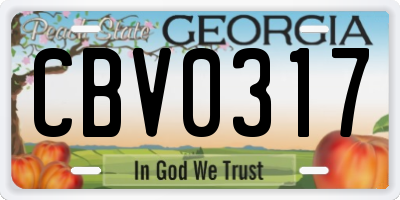 GA license plate CBV0317