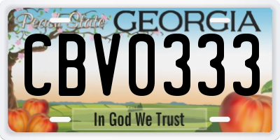 GA license plate CBV0333
