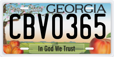 GA license plate CBV0365