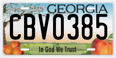 GA license plate CBV0385