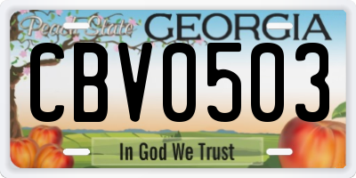 GA license plate CBV0503
