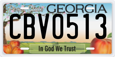GA license plate CBV0513