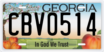 GA license plate CBV0514