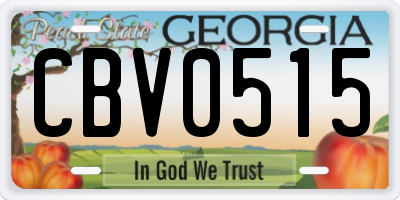 GA license plate CBV0515