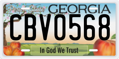 GA license plate CBV0568