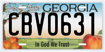 GA license plate CBV0631