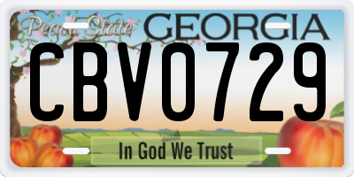 GA license plate CBV0729