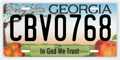 GA license plate CBV0768