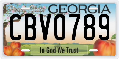 GA license plate CBV0789