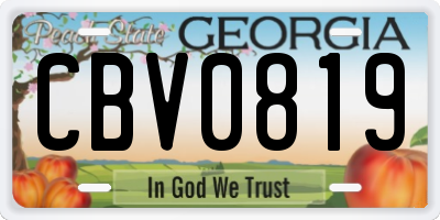 GA license plate CBV0819