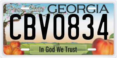 GA license plate CBV0834