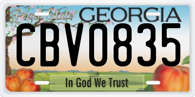 GA license plate CBV0835