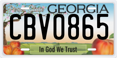 GA license plate CBV0865