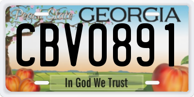 GA license plate CBV0891