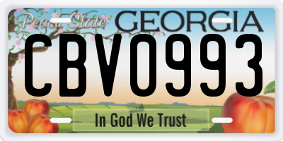 GA license plate CBV0993