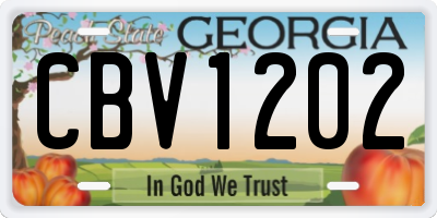 GA license plate CBV1202