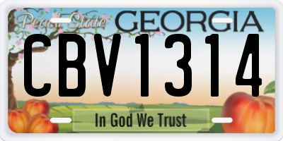 GA license plate CBV1314