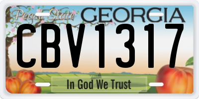 GA license plate CBV1317