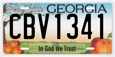 GA license plate CBV1341